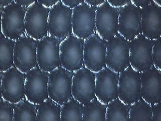 Анилоксовые валы для HD-Flexo